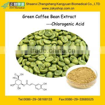 GMP Factory Supply 100% Natural Green Coffee Bean Extract