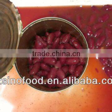 Canned Red Kidney Beans in Tomato Sauce for Sale