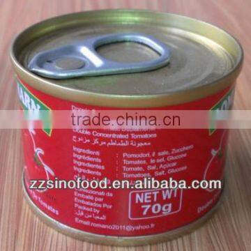 Chinese High Quality Canned Tomato Paste with Easy Open Lids 70g