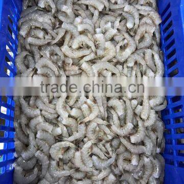 Good price headless vannamei shrimp on sale