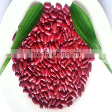 JSX general trade small red kidney beans first-class food grade sweet red bean paste