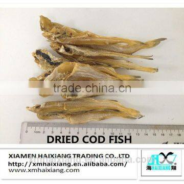 High quality dried salt cod fish