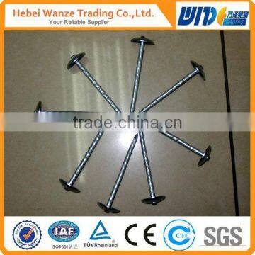 ISO 9001 competitive price twisted shank umbrella roofing iron nails