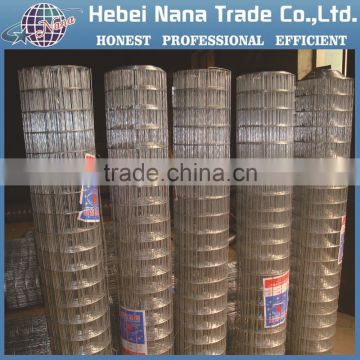 304 Stainless Steel Welded Wire Mesh