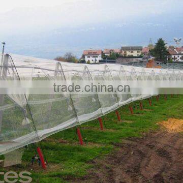 HDPE Agriculture Vineyard Plastic Apple Tree Anti Hail Net for Plantations photo-4