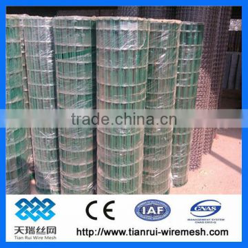 Hot sale plastic coated holland wire mesh