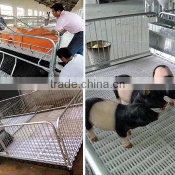 Pig farrowing crate/pig equipment/poultry farm equipment