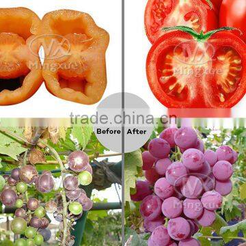 12W Greenhouse Grow Par Light,No Noise No Fan Led Grow Light photo-5