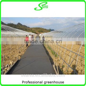 Polytunnel steel structure used greenhouse