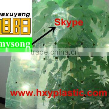 Green color PE Agricultural Plastic Perforated Film with UV for protective tomato tree