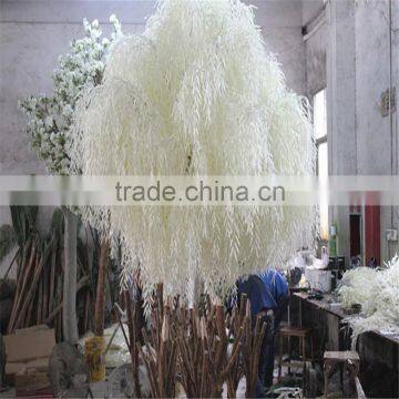 SJ20171392 Factory Ornamental Foliage Japanese Willow Tree photo-2