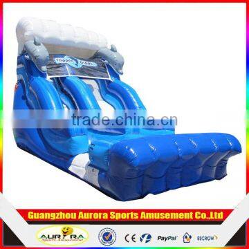 High quality Slide Type inflatable water slide,Vinyl Material Inflatable Slip N Slide