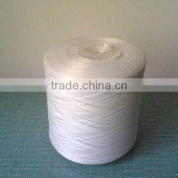 Polyester Yarn on Dye Cone