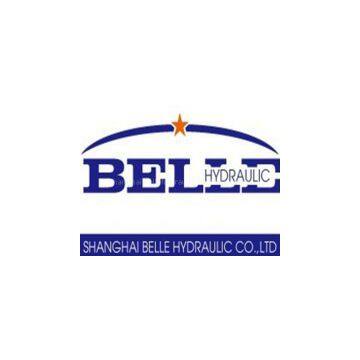 Shanghai Bellehydraulic Co.,Ltd