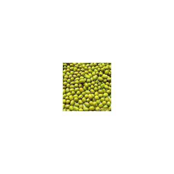Sell Green Bean