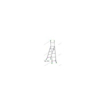 Aluminium Ladder