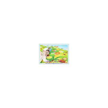 EVA-Child-Play-Puzzle-Mat-EVA-Mat-Baby-Play-Mat-(EVA-S-2109) photo-2