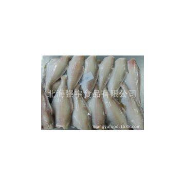 Frozen Filefish Fillet photo-2