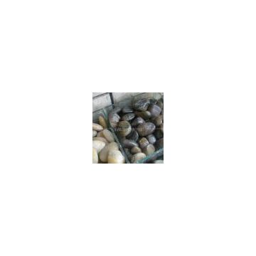 Pebble Stone / Cobbles Stone