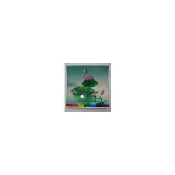 luminescent film,self adhesive glow film,glow sheet