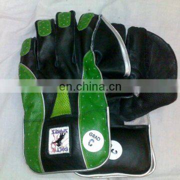 Wicket Keeping Gloves