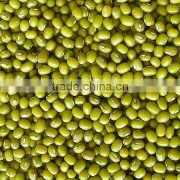 mungbean