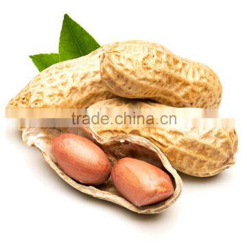 2015 crop peanut for sale