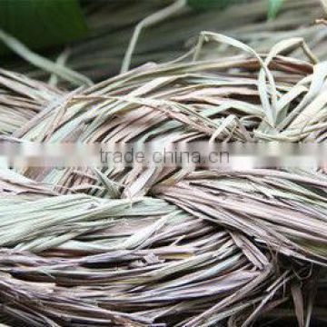 Citronella,Cymbopogon citratus Stapf,Food seasoning