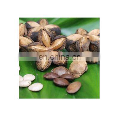 100% organic sacha inchi wholesale/Supply SACHA INCHI from VIETNAM with good price