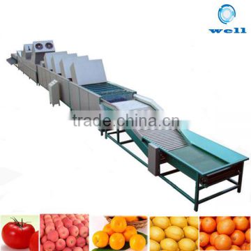 lemon cleaning waxing drying and grading machine price