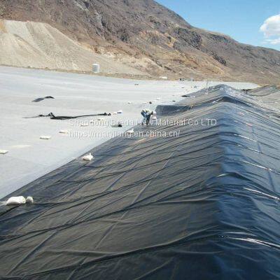 HDPE Geomembrane