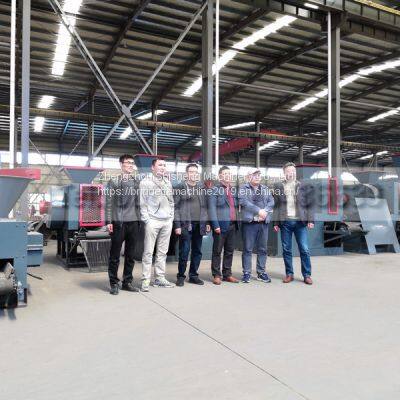 Custom Shape Briquette Press Supplier in Germany photo-3