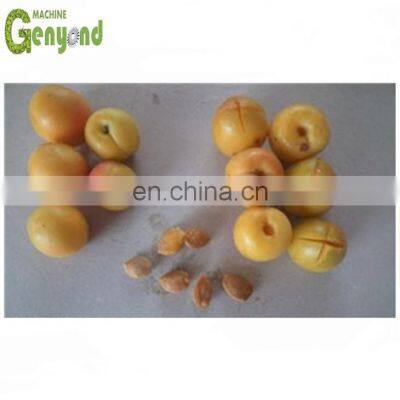 High Capacity 500-800kg Olive Date Pitting Machine photo-4