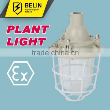 BAD51-100 Flameproof Explosion proof Light