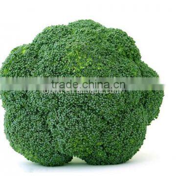 2015 New Crop Green Broccoli/Frozen Broccoli