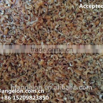 Dry Shrimp Color Separating Machines Shrimp Pieces Sorting Machinary Shrimp Pieces Separting Machine photo-4