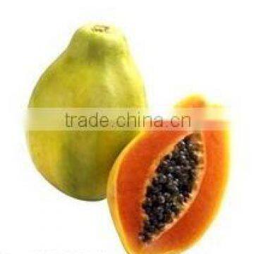 Fresh Papya Exporters in India photo-3