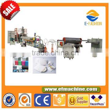 Leader Ps Foam Sheet Plastic Extruder Machine