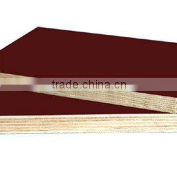 Cedar Veneer Film Faced Plywood photo-4