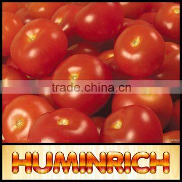 Huminrich High Active Potassium Humic Acid Looking For Agent In Egypt