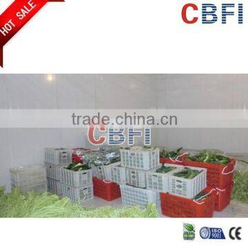 CBFI Cold Room for Fruits and Vegetables
