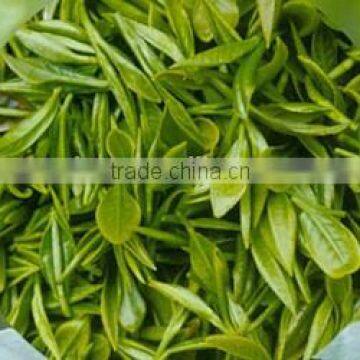 China Supplier Tea Leaf Pekoe Tea photo-3