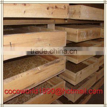 What Foods do Mealworms Prefer/how to Eat Mealworms/what do Bluebirds Eat in the Wild