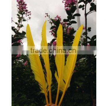 Natural Humpback Feathers 30-40cm 12-16inches photo-4