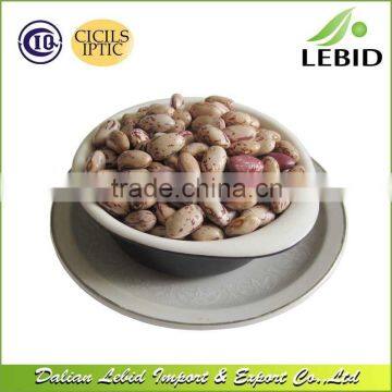 2014 Crop Round Light Speckled Kidney Beans America Type