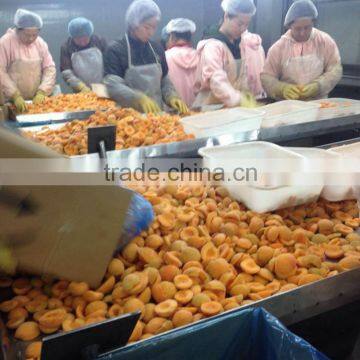 Frozen Yellow Peach Halves with HACCP Certificate