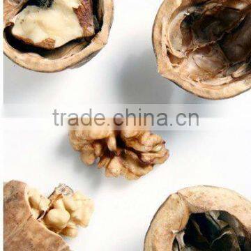 raw dried walnuts