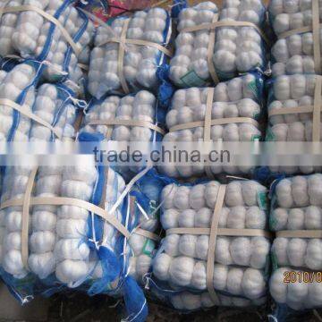 chinese jinxiang pure white GARLIC