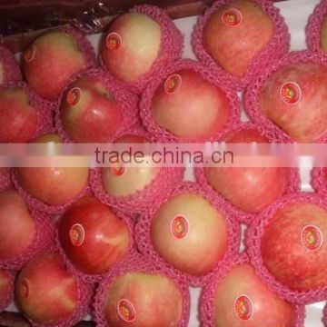 Chinese Red Star Apple