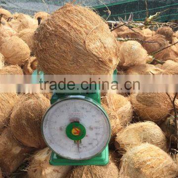 Viet Nam Semi husk mature coconut